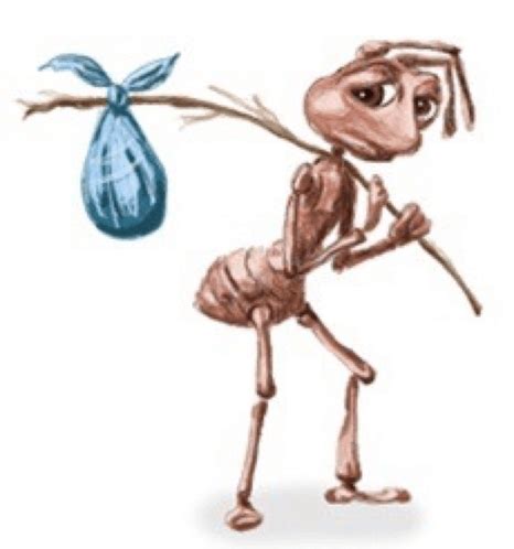 江诗丹顿加拿大